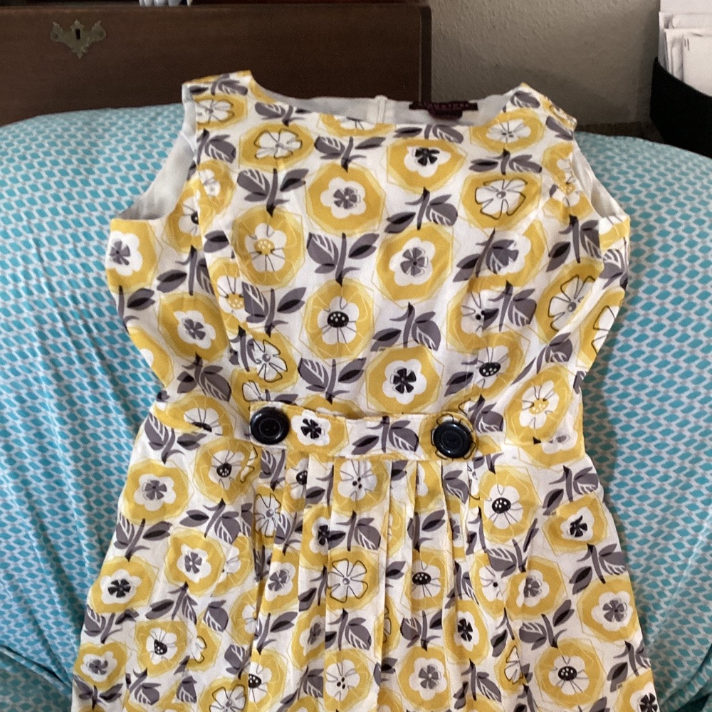 Vintage/vintage inspired circle skirt dress